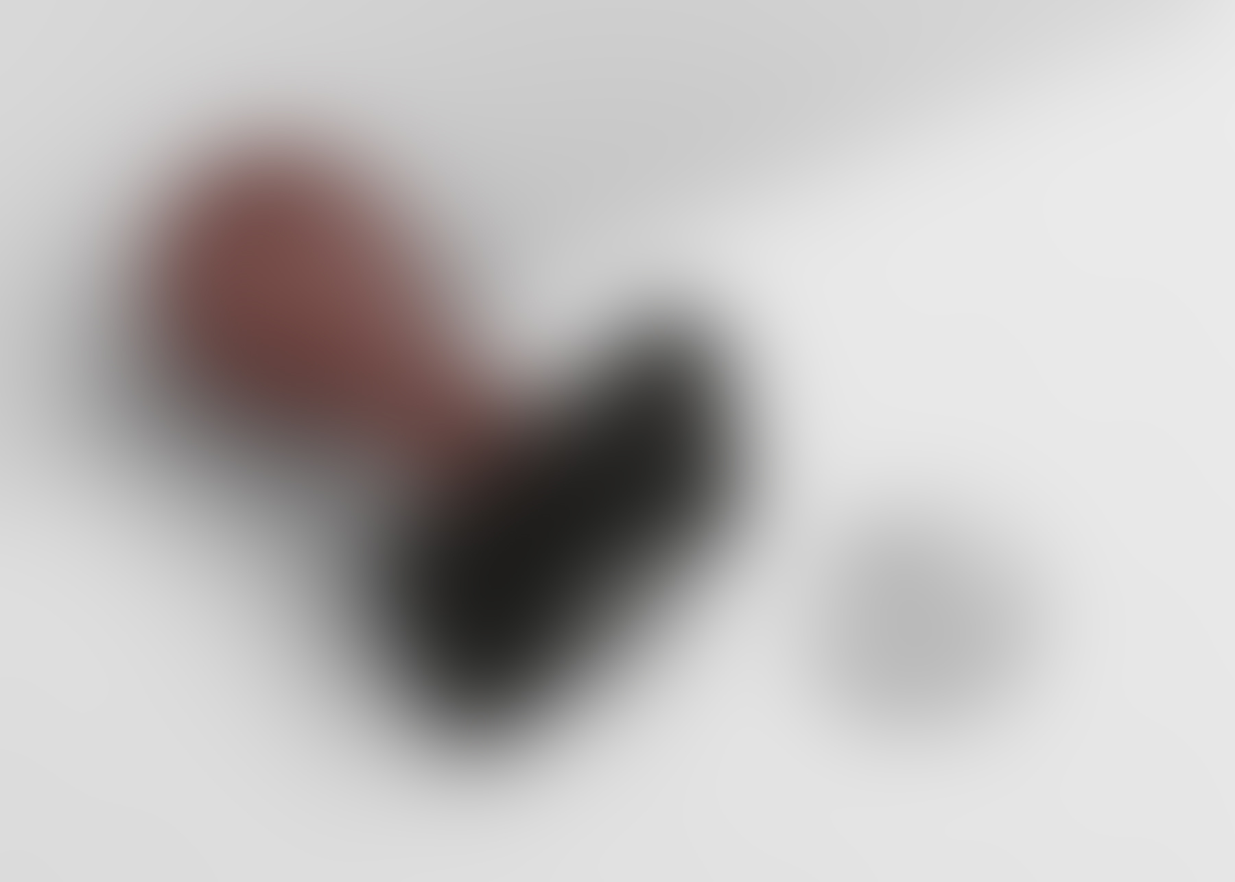 Seal-Logo-Mockup