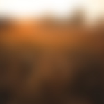 kaboompics.com_Sunset