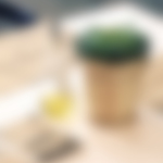 kaboompics(1).com_Plant